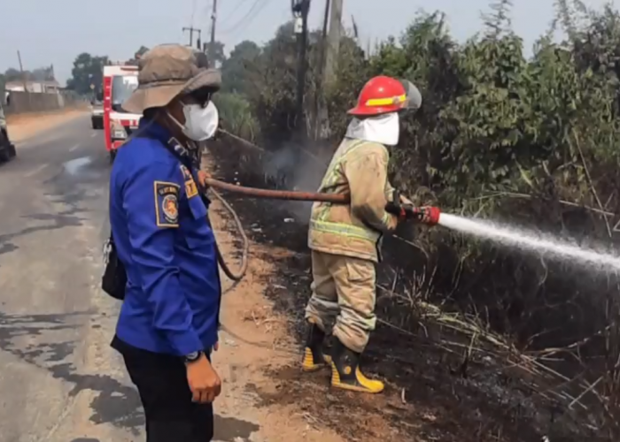 Hari Kedua Pemadaman, 5 Hektare Lahan Gambut di Sarolangun Terbakar