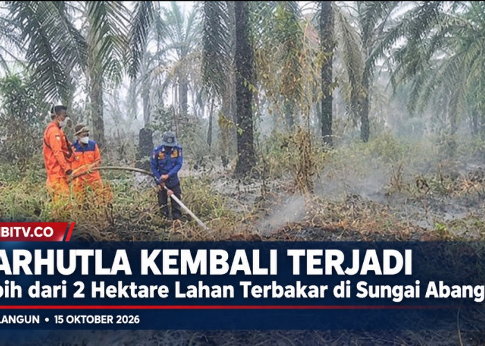 Asap Kembali Memutih, Kebakaran Lahan Kembali Terjadi di Sungai Abang Sarolangun