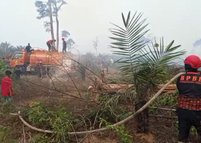 Siaga Karhutla, Pemkab Tebo Perpanjang Status Siaga hingga Sebulan ke Depan