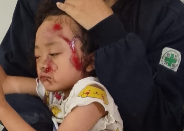 Anak Jadi Korban Galian Jargas Tak Ditutup, Pemkot Jambi Panggil Kontraktor