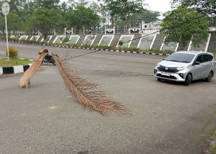 Kabel Terjuntai Hambat Arus Lalu Lintas di Tebo