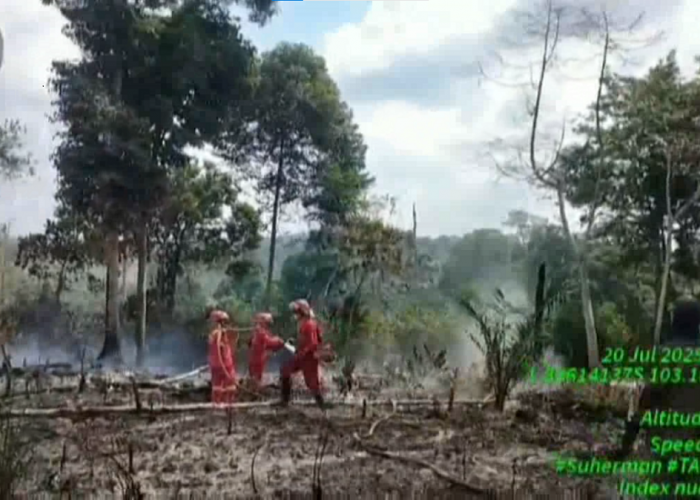 Kebakaran  Lahan Tahura  Kurun Waktu 5 Bulan, 57,5 Hektar Ditemukan Terbakar