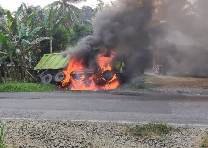 Dump Truck Hino Terbakar Hebat di Jalinsum Bungo, Kerugian Rp800 Juta
