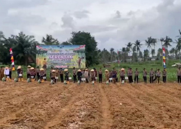 Tanam Jagung Serentak, PJ Walikota Jambi Dukung Program Asta Cita Presiden