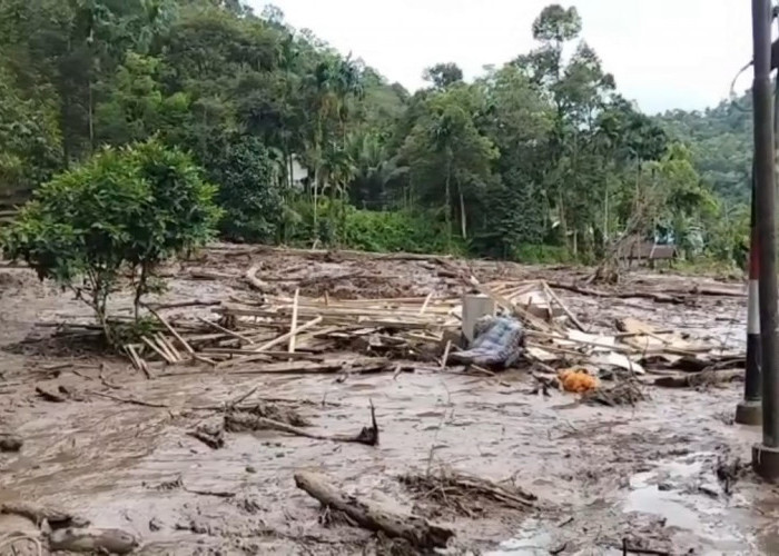 Longsor Terjang Jalan KM 18–20 Puncak, Akses Perbatasan Jambi–Sumbar Terdampak