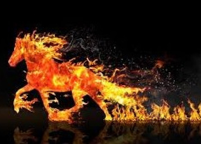 2026 Tahun Kuda Api, Arah Ekonomi dan Politik Dipenuhi Dinamika 