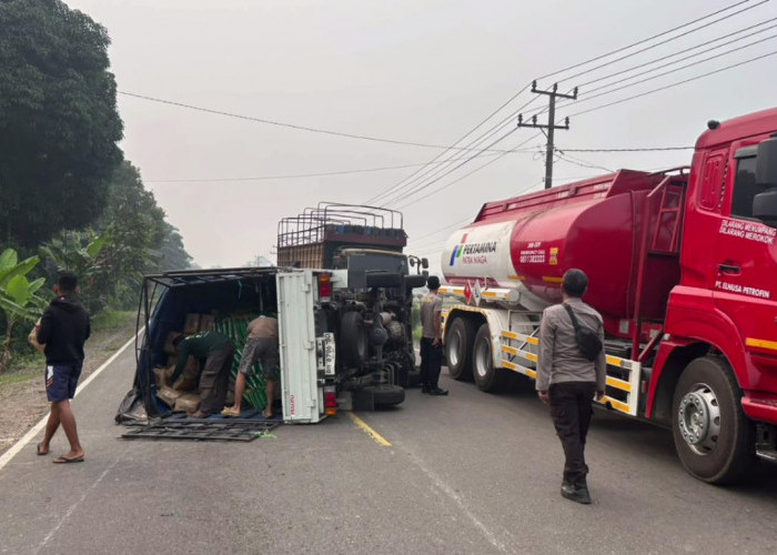 Pecah Ban, Mobil Pickup Muatan Sembako Terguling di Pemayung