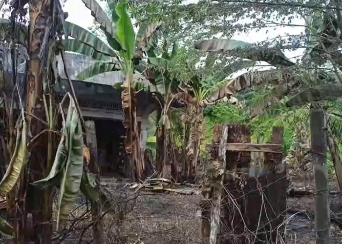 76 Desa dan Kelurahan di Batanghari Masuk Zona Rawan Karhutla