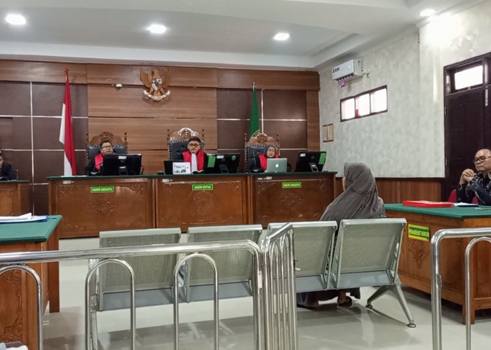Sengketa Tanah di Tebo, Pembeli Gugat Penjual Usai Lahan Kembali Dikuasai