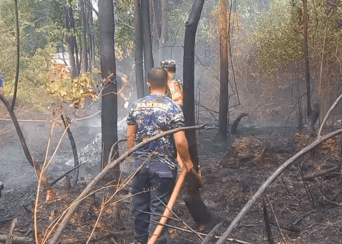 Di Bulan Oktober, Karhutla Jambi Sudah Membakar 20 Titik Lahan di Sarolangun 
