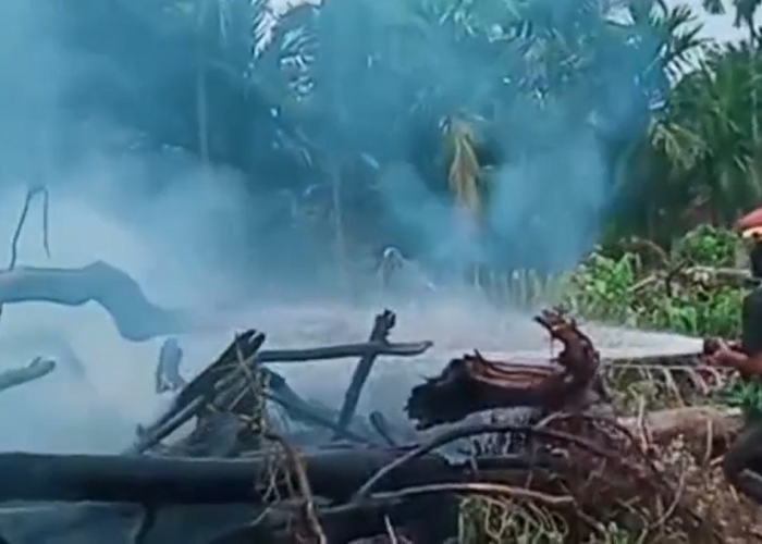 Diduga Karena Bakar Sampah, Kebakaran Lahan Terjadi di Desa Aur Cino, Tebo