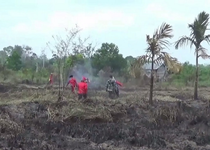 Karhutla di Muaro Jambi Sudah 29 Kasus, Luas Lahan Terbakar 90,32 Hektare 