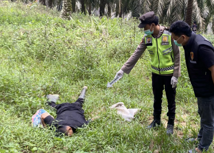 Penemuan Mayat Pria Di Perkebunan Sawit