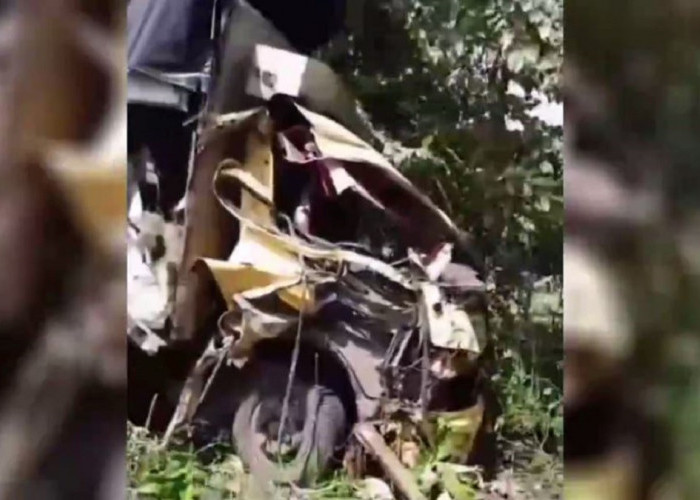 Laka Lantas Di Muara Tembesi, Truk Pengangkut 2 Ekor Kuda Tabrak Truk CPO
