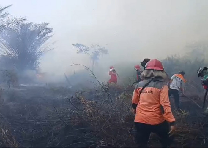 Baru Selesai Pemadaman, Terjadi Lagi Kebakaran 2 Hektare Lahan di Desa Lubuk Kepayang Sarolangun