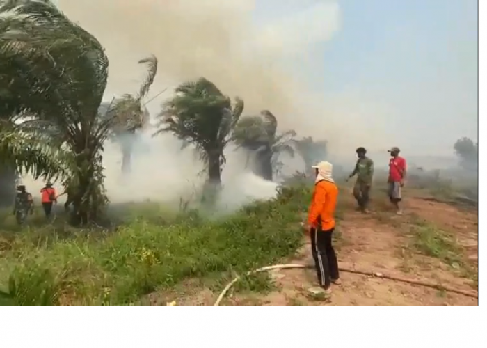 Karhutla Sungai Aur Hari Ke-4 Belum Padam, Sekitar 30 Hektare Lahan Terbakar