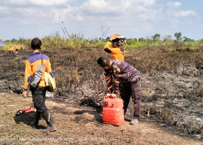 Hingga Agustus 2023, Tercatat Sudah 8 kasus Kebakaran Lahan di Muaro Jambi