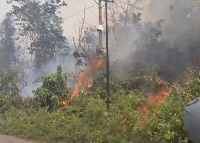 Karhutla di Malapari Batanghari, Empat Hektare Lahan Terbakar hingga Tengah Malam