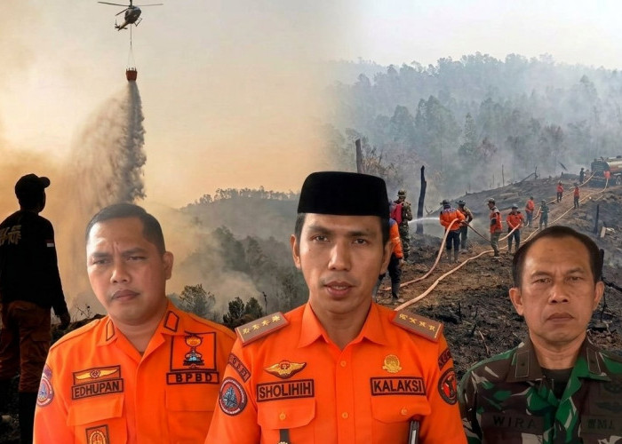 Tahura Sultan Thaha Syaifuddin Terbakar Lagi, Enam Hektare Lahan Hangus