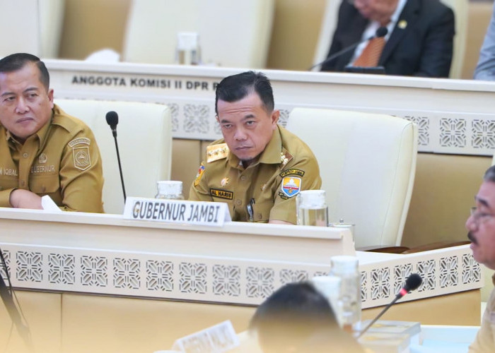 Raker, RDP dan RDPU Bersama Komisi II DPR RI, Al Haris Perjuangkan Nasib P3K Penuh Waktu dan Paruh Waktu