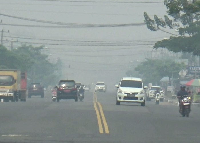 Kabut Asap Jambi Menebal, Jarak Pandang di Kabupaten Tebo Terbatas