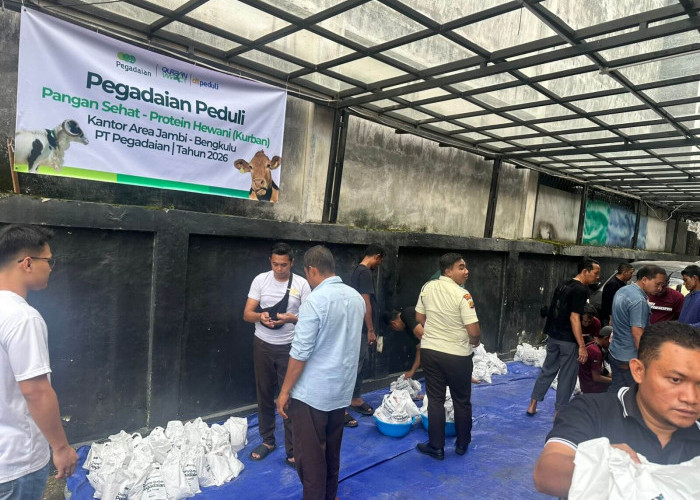 Pegadaian Area Jambi-Bengkulu Gelar Program Peduli Pangan Sehat, Salurkan 328 Kg Daging Kurban Untuk Warga