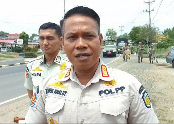 471 APS Diturunkan Anggota Satpol PP Tebo, 460 Diantaranya Bergambar Bacaleg