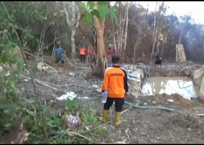 Gawat, Aktivitas Illegal Drilling Sudah Merambah 30 hektar lahan di Jebak Batanghari