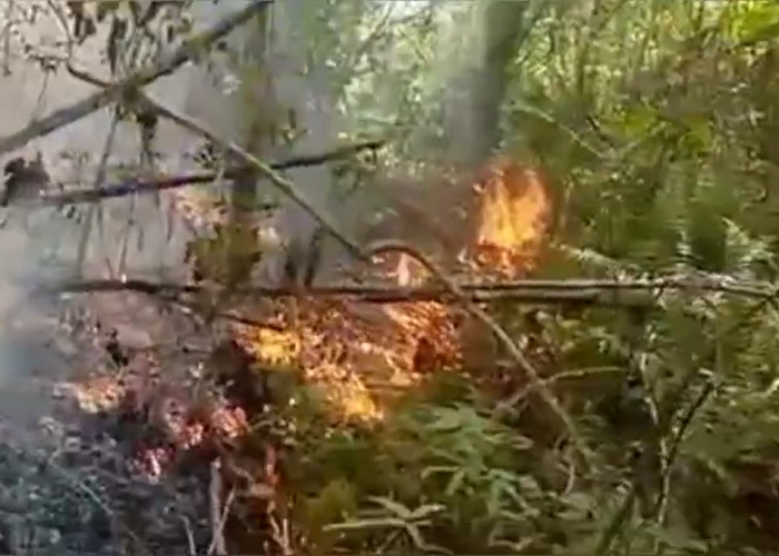 Kebakaran Lahan Kembali Terjadi! Kali Ini di Komplek Perkantoran Bupati Tebo