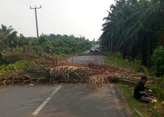 Buntut PETI di Perbatasan Desa Punti Kalo dan Teluk Langkap, Warga Blokir Jalan Padang Lamo