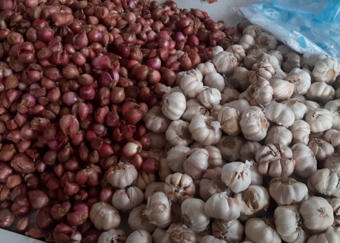 Pasokan Melimpah, Harga Bawang Merah Di Pasar Angso Duo Turun