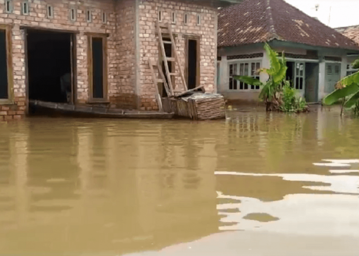 3 Desa di Taman Rajo Masih Terisolir, Ratusan Rumah Terendam Banjir