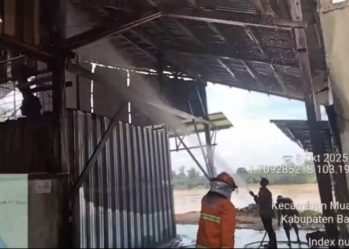 Api Lahap Gudang PT. Sabda Kreasi, Kerugian Capai Ratusan Juta Rupiah