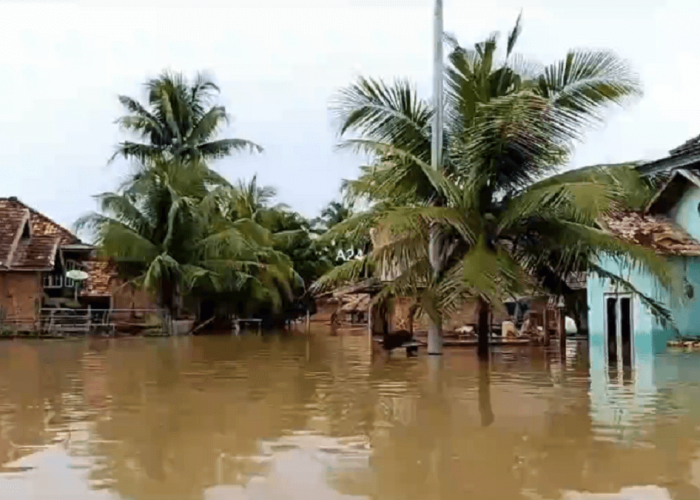 Banjir Makin Parah, 850 Unit Rumah Warga di Desa Peninjauan Terdampak, Aktivitas Warga Lumpuh