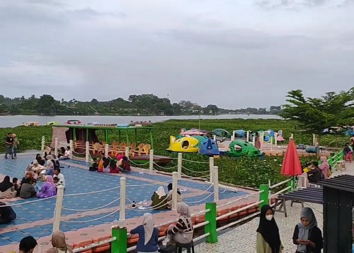 Wisata Danau Sipin Diselimuti Eceng Gondok, Pengelola Ketek Wisata Dibuat Kewalahan