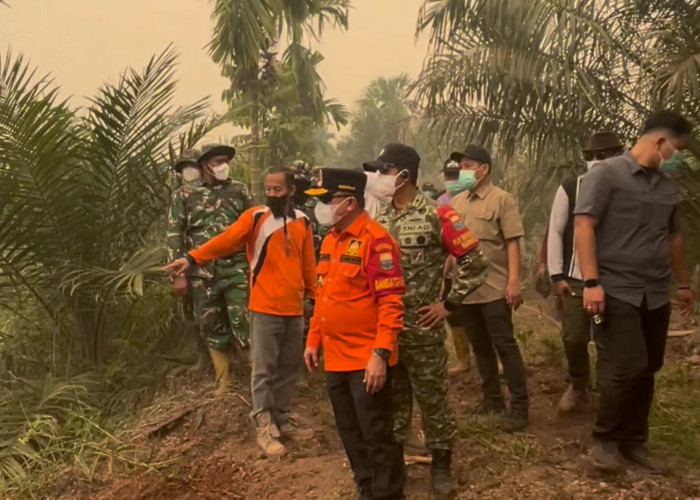 Angin Kencang dan Sulitnya Sumber Air Hambat Pemadaman Karhutla di Kumpeh Muaro Jambi