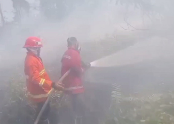 Dalam Sehari, 3 Titik Lahan Kosong di Kota Jambi Terbakar, Diduga Ada Kesengajaan Membakar