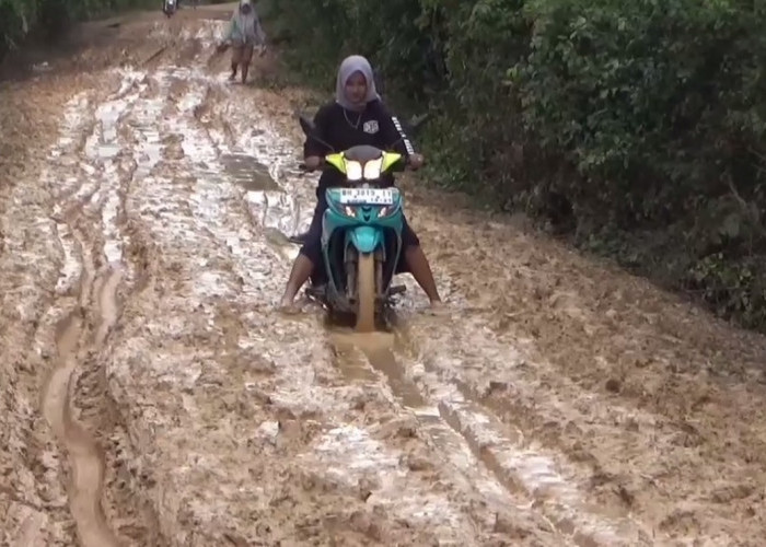 Jalan Penghubung 2 Kabupaten Hancur Usai Terendam Banjir Selama Satu Bulan