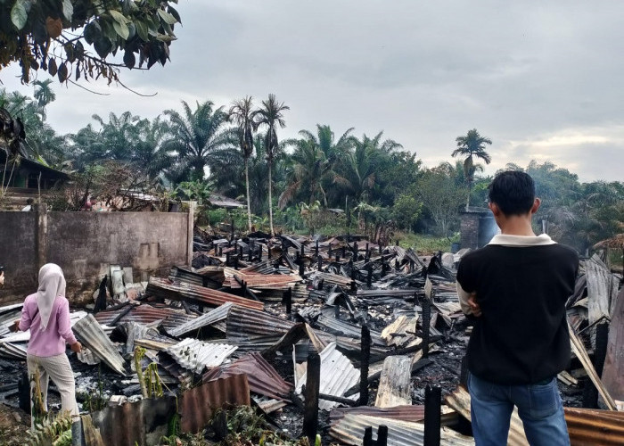 Si Jago Merah Mengamuk di Tanjabtim, 10 Hunian Hangus dan Satu Nyawa Melayang