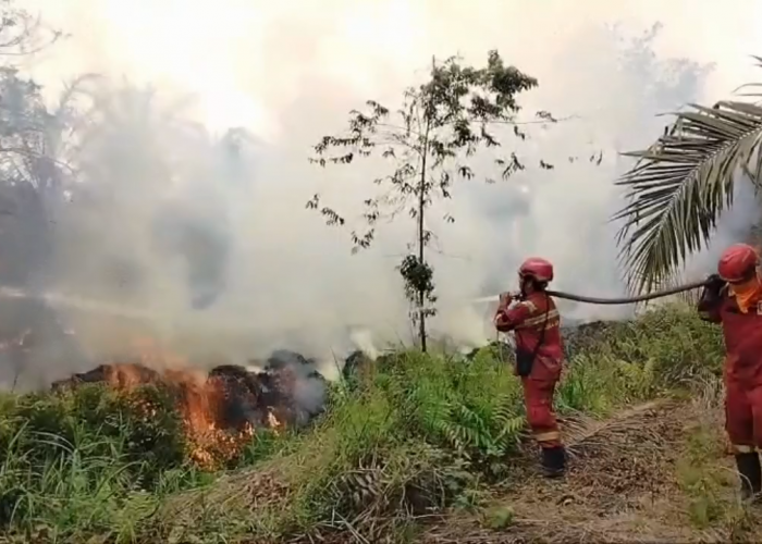 Hari Keempat, Petugas Masih Berjibaku Padamkan Karhutla di Air Hitam Sarolangun