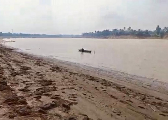 Air Sungai Batanghari Menyusut, Warga Muaro Jambi Dihantui Krisis Air Bersih