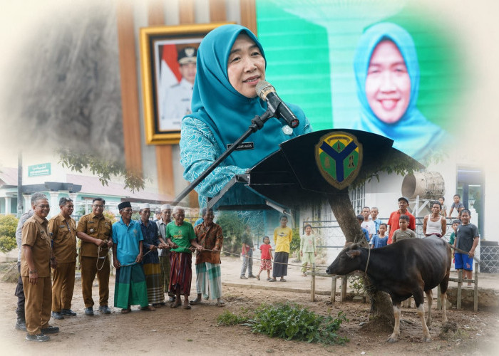 Hj. Hesnidar Haris Serahkan Hewan Kurban untuk Masyarakat Batang Hari dan Muaro Jambi