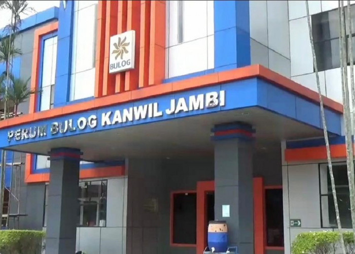 BULOG Bangun Gudang di 5 Kabupaten Jambi, Tampung Hasil Panen Petani