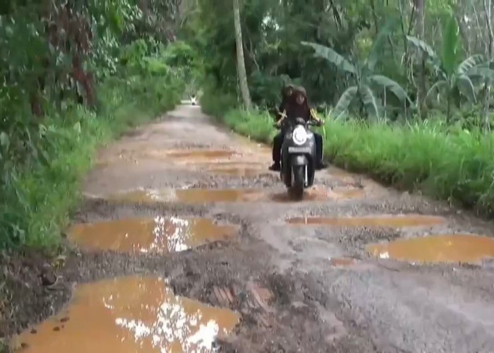 Waduh Sampai Akhir Tahun 2023, Kondisi Jalan Kabupaten Batanghari 59 Persen Rusak