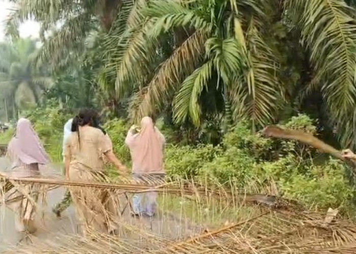 Warga Desa Punti Kalo Kembali Blokir Jalan Padang Lamo 