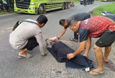Kecelakaan Maut Sepeda Motor Adu Kambing Dengan Truk Fuso, Seorang Pelajar Tewas Bathin Ii Babeko, Bungo