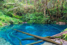 Danau Kaco Aquarium Ditengah Hutan Kerinci