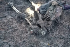 Geger!! Kerangka Manusia Ditemukan di Pesisir Pantai Sungai Sayang, Polisi Lakukan Penyelidikan