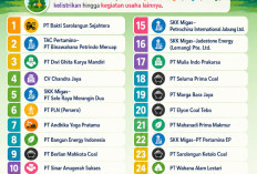 27 perusahaan Pemegang PPKH Menggunakan Kawasan Hutan di Provinsi Jambi, Adakah Keterlibatannya Karhutla Jambi
