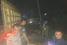 Aksi Pencurian Besi di Gedung Dinas Perikanan Kuala Jambi Digagalkan, Pelaku Kabur Tinggalkan Mobil